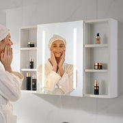 VINGLI LED Bathroom Medicine Cabinet with Mirror Lighted Dimmable Colours