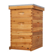 VINGLI 10 Frames Complete Beehive Kit with Waxed Foundations