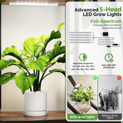 VINGLI Plant Stand Indoor with Grow Light, 63 Inch Tall Lighted Plant Shelf Indoor with 5 LED Light Strips
